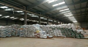 توريد القمح 2026